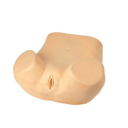SA/F5 Gynecological Training Model