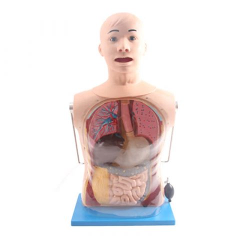 Nursing Training Series
