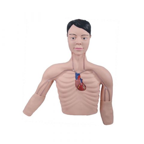 Clinical Training Series
