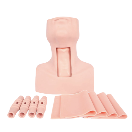 SA/J58 Advance Cricothyroid Puncture and Tracheotomy Intubation Training Model