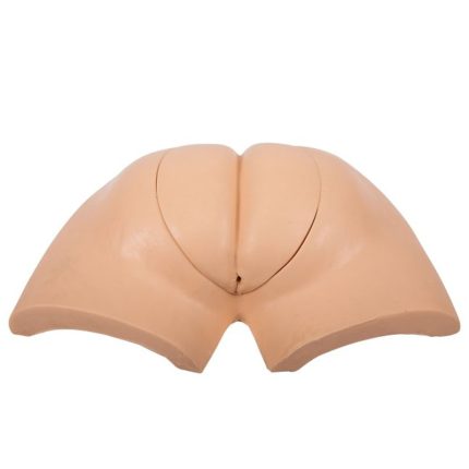 SA/H37 Advanced Wearable Artificial Defecation Training Simulator