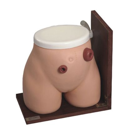 SA/H38 Ostomy Nursing Model