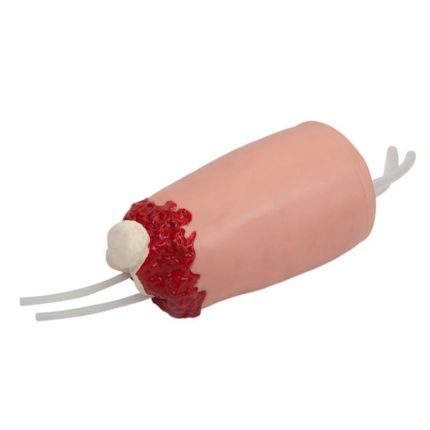 SA/H41 Lower Limb Amputation and Hemostasis Model