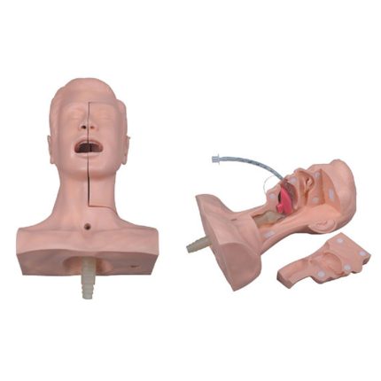 SA/H85 Suction Training Model