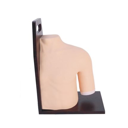 SA/L70 Shoulder Joint Cavity Injection Model